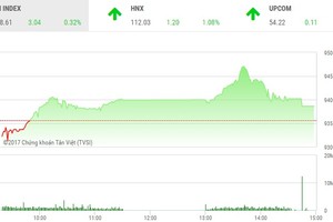 Phiên chiều 27/11: Sắc tím tràn ngập, VN-Index vẫn đuối sức cuối phiên