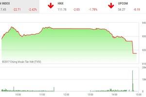 Phiên chiều 11/12: Lao dốc