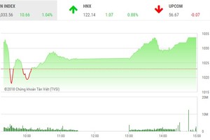 Phiên chiều 9/1: Nổi sóng lớn, VN-Index vọt qua ngưỡng 1.030 điểm