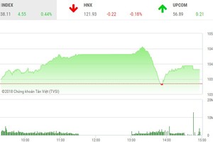 Phiên chiều 10/1: Bất ngờ lao dốc