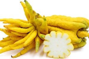 Phật thủ vừa là loại quả quý vừa mang ý nghĩa tâm linh là các loại trái ưu tiên dùng để dâng cúng -Ảnh:specialtyproduce.