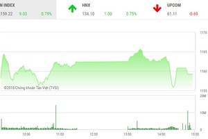 Phiên chiều 19/3: Dòng bank bị chốt lời, VN-Index hạ nhiệt