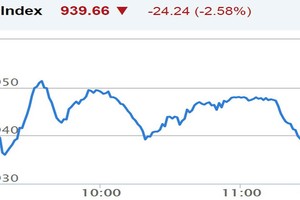 Phiên sáng 28/5: Thị trường lại rơi mạnh