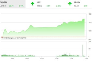 Phiên chiều 4/6: Sắc tím tràn ngập, VN-Index tăng vọt qua 1.010 điểm