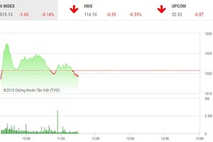 Phiên sáng 13/6: Nhà đầu tư thận trọng, thị trường đảo chiều bất thành