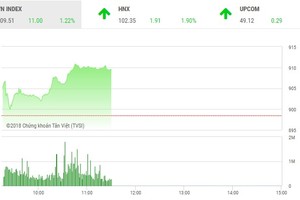 Phiên sáng 13/6: Sắc xanh bao trùm, 2 sàn tăng mạnh