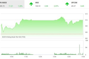 Phiên chiều 13/7: Nhiều cổ phiếu nhỏ nổi sóng, VN-Index vẫn hụt mốc 910 điểm