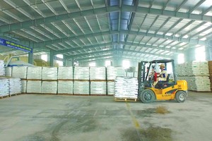 Dây chuyền Filler Masterbatch chạy hết công suất, Nhựa Pha Lê báo lãi 31 tỷ đồng 6 tháng đầu năm