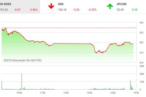 Phiên chiều 19/12: Bắt đáy