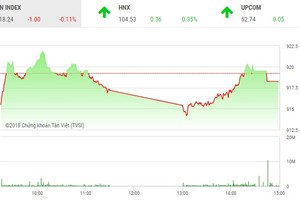 Phiên chiều 20/12: Hụt hơi cuối phiên, VN-Index mất điểm đáng tiếc
