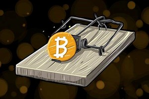 Năm nở rộ lừa đảo tiền ảo tại Việt Nam