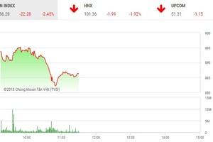 Phiên sáng 25/12: Nhà đầu tư ồ ạt xả hàng, VN-Index mất hơn 22 điểm