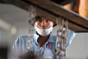 Ảnh minh họa: Internet