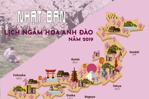 Lịch ngắm hoa anh đào trên khắp Nhật Bản năm 2019