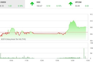 Phiên chiều 23/1: Cổ phiếu ngân hàng giữ lại sắc xanh nhạt cho VN-Index