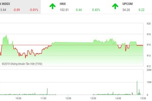 Phiên chiều 30/1: Điểm nhấn cuối năm