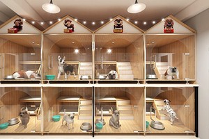 Khách sạn cho thú cưng của một cửa hàng tại Hà Nội. Ảnh:NVCC