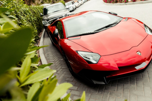 Dùng thử hàng xa xỉ kiếm gần 100.000 USD một năm