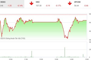 Phiên chiều 3/4: Nhiều cổ phiếu nhỏ nổi sóng