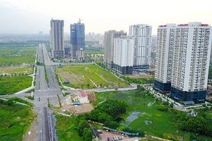 Thực tế dự án Đoàn ngoại giao