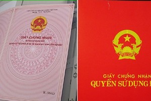 Cơ quan nào cấp sổ đỏ?