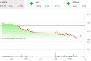 Phiên chiều 13/11: Sắc đỏ bao trùm, VN-Index mất hơn 5 điểm