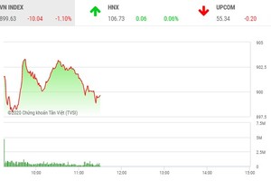 Phiên sáng 26/2: Giảm hơn 10 điểm, VN-Index mất mốc 900 điểm