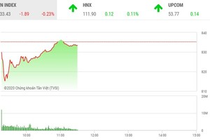 Giao dịch chứng khoán sáng 13/5: Mạnh tay gom hàng giá thấp