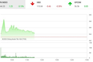 Giao dịch chứng khoán sáng 12/8: Giữ tiền chờ cơ hội