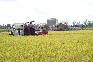 Cổ phiếu cần quan tâm ngày 16/12