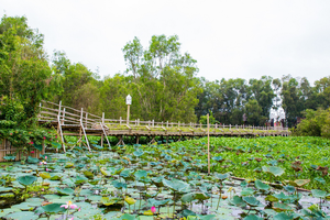 Về miền Tây mùa nước nổi, tiêu dao miền sông nước giữa rừng tràm Trà Sư