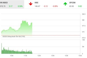 Giao dịch chứng khoán sáng 19/11: Dòng tiền tiếp tục chảy mạnh, VN-Index hướng tới mốc 980 điểm