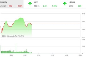 Giao dịch chứng khoán sáng 15/12: Dòng tiền dịch chuyển sang nhóm cổ phiếu vừa và nhỏ