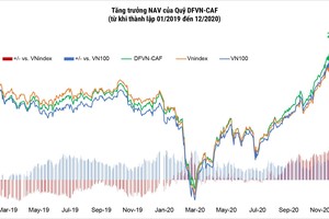 Biểu đồ tăng trưởng giá trị tài sản ròng (NAV) của Quỹ DFVN-CAF từ tháng 01/2019 đến tháng 12/2020