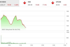  Giao dịch chứng khoán sáng 28/1: Hoảng loạn