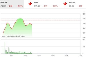 Giao dịch chứng khoán sáng 14/4: Bảng điện tử hiện thị loạn giá, nhà đầu tư tù mù bắt đáy