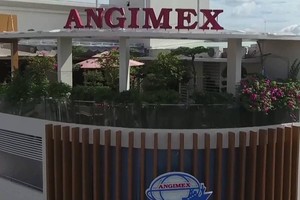 Cổ đông lớn Nguyễn Kim muốn thoái hết 51% vốn tại AGM sau 11 phiên trần