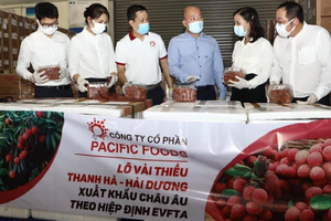 Lô vải thiều Việt Nam đầu tiên xuất khẩu đi châu Âu theo Hiệp định EVFTA