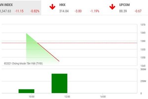 Giao dịch chứng khoán phiên sáng 8/6: Thị trường vẫn trong mạch điều chỉnh, cổ phiếu nhỏ có niềm vui