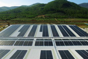 SP Group liên doanh với BCG Energy đầu tư điện mặt trời tại Việt Nam