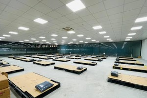 7 tháng, TNG đạt 2.965 tỷ đồng doanh thu, tăng 21% so với cùng kỳ