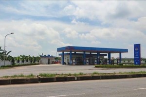 Chỉ sau 4 phiên Sao Thăng Long mua vào, cổ phiếu Xăng dầu Dầu khí Thái Bình (POB) lao dốc gần 50%