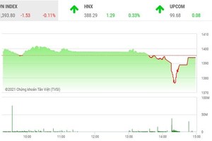 Giao dịch chứng khoán chiều 20/10: Giật mình 