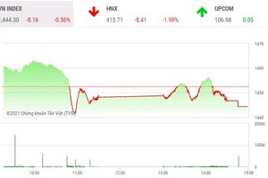 Giao dịch chứng khoán chiều 3/11: Phiên phân phối cổ phiếu nhỏ và vừa