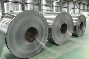 Cổ phiếu TNI của Tập đoàn Thành Nam bị đưa vào diện cảnh báo