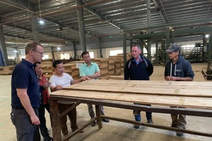 Cổ phiếu Sao Thái Dương (SJF) bị đình chỉ giao dịch từ ngày 13/11