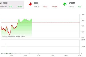 Giao dịch chứng khoán phiên sáng 20/1: Đẩy mạnh bắt đáy, hàng loạt mã tăng trần trở lại