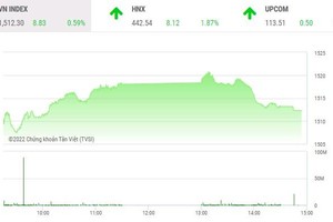Phiên giao dịch chứng khoán chiều 23/2: Bluechip hụt hơi, cổ phiếu phân bón đón sóng