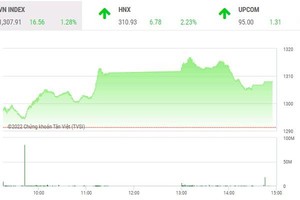 Giao dịch chứng khoán chiều 8/6: Nhóm FLC nổi sóng, thị trường hạ nhiệt 