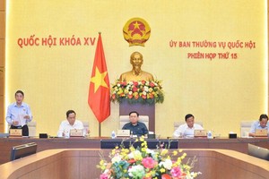 Phó chủ tịch Quốc hội Nguyễn Đức Hải phát biểu tạị phiên thảo luận.